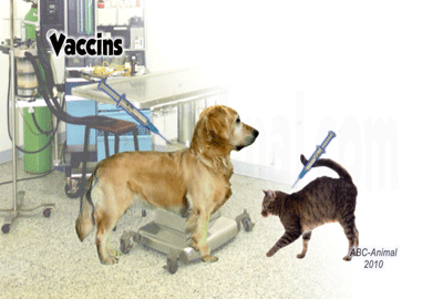 Vaccines for dogs and cats