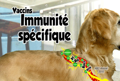 Vaccines and Specific Immunity